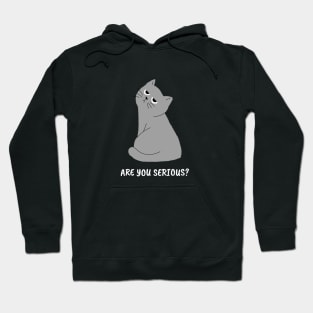 Are You Serious? Funny Gray Cat Design Hoodie